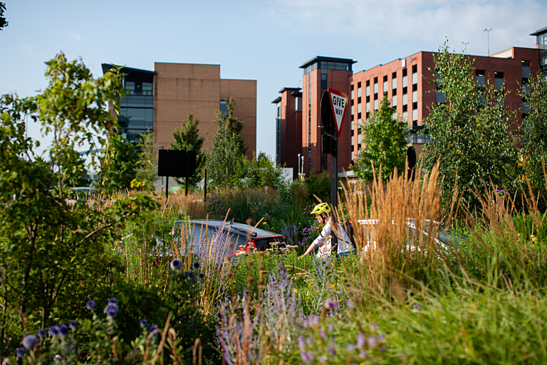 Trustee Week – “Everyone Deserves A Beautiful Life”